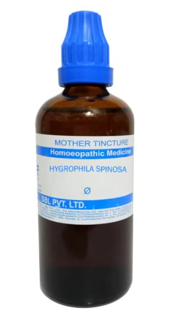 SBL Hygrophila Spinosa Mother Tincture Q for skin and kidney support