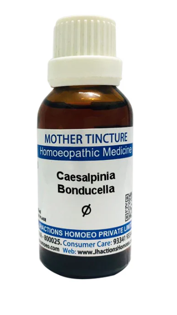 SBL Caesalpinia Bonducella Mother Tincture Q for fever and wellness support