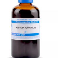 SBL Justicia Adhatoda Q 100 ml for respiratory support and cough relief