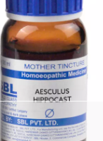 SBL Aesculus Hippocastanum Q 100 ml for venous and joint support