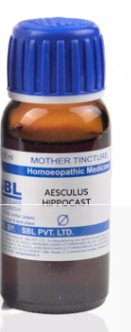 SBL Aesculus Hippocastanum Q 100 ml for venous and joint support