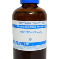 SBL Erigeron Canadensis Q 100 ml for urinary health and digestive support