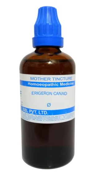 SBL Erigeron Canadensis Q 100 ml for urinary health and digestive support
