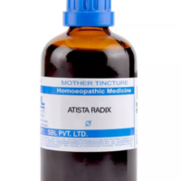 SBL Atista Radix Q 100 ml for digestive and gut support