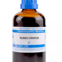 SBL Rumex Crispus Q 100 ml for cough and throat support