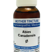 SBL Abies Canadensis Q 100 ml for digestive and vitality support