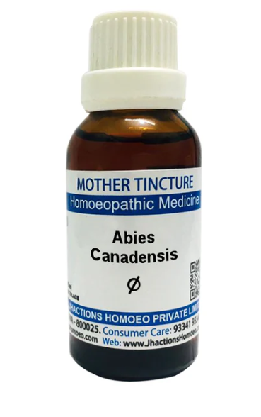 SBL Abies Canadensis Q 100 ml for digestive and vitality support