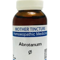 SBL Abrotanum Q 100 ml for appetite and strength support