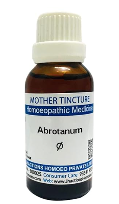 SBL Abrotanum Q 100 ml for appetite and strength support