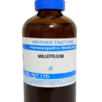 SBL Millefolium Q 100 ml for circulatory and wellness support