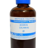 SBL Acorus Calamus Q 100 ml for digestive and worm support