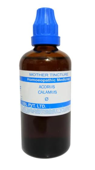 SBL Acorus Calamus Q 100 ml for digestive and worm support