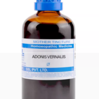 SBL Adonis Vernalis Q 100 ml for heart and circulation support