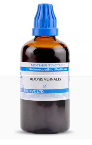 SBL Adonis Vernalis Q 100 ml for heart and circulation support