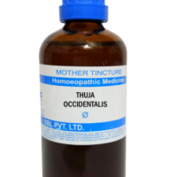 SBL Thuja Occidentalis Q 100 ml for skin and joint support