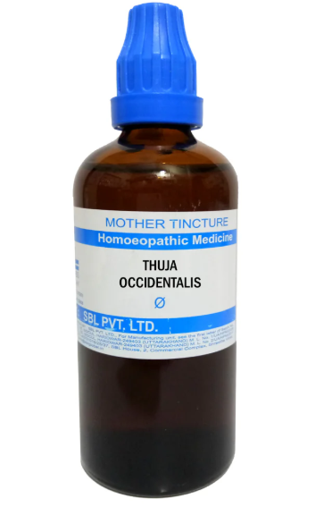 SBL Thuja Occidentalis Q 100 ml for skin and joint support
