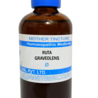 SBL Ruta Graveolens Q 100 ml for joint and muscle support