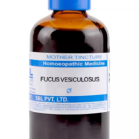 SBL Fucus Vesiculosus Q 100 ml for thyroid and digestive support