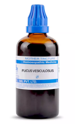 SBL Fucus Vesiculosus Q 100 ml for thyroid and digestive support