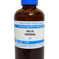 SBL Bellis Perennis Q 100 ml for muscle and skin support