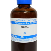 SBL Senega Q 100 ml for respiratory and cough support