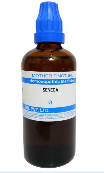 SBL Senega Q 100 ml for respiratory and cough support