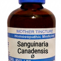 SBL Sanguinaria Canadensis Q 100 ml for headache and sinus support