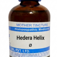 SBL Hedera Helix Q 100 ml for respiratory health and nervous calmness