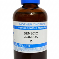 SBL Senecio Aureus Q 100 ml for menstrual, urinary, and respiratory support
