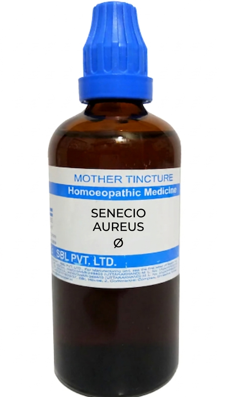 SBL Senecio Aureus Q 100 ml for menstrual, urinary, and respiratory support