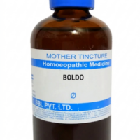SBL Boldo Q 100 ml for liver and digestive support