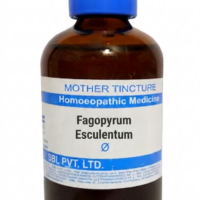 SBL Fagopyrum Esculentum Q 100 ml for itching and skin support