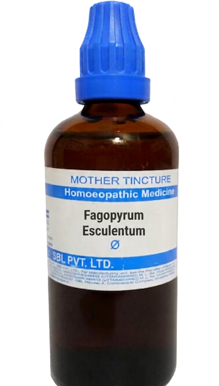 SBL Fagopyrum Esculentum Q 100 ml for itching and skin support
