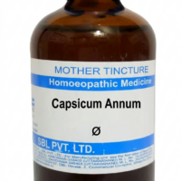 SBL Capsicum Annuum Q 100 ml for throat and digestive support