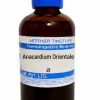 SBL Anacardium Orientale Q 100 ml for digestion and memory support