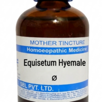 SBL Equisetum Hyemale Q 100 ml for urinary and kidney support