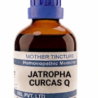 SBL Jatropha Curcas Q 100 ml for diarrhoea and digestive support