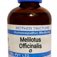 SBL Melilotus Officinalis Q 100 ml for headache and nervous support