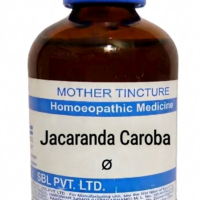 SBL Jacaranda Caroba Q 100 ml for skin and detox support