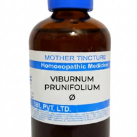 SBL Viburnum Prunifolium Q 100 ml for menstrual and uterine support