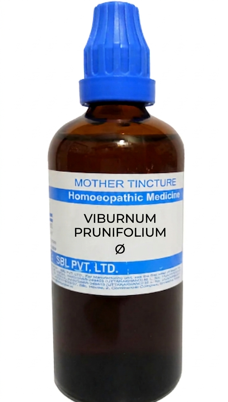 SBL Viburnum Prunifolium Q 100 ml for menstrual and uterine support