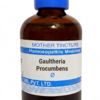 SBL Gaultheria Procumbens Q 100 ml for joint pain and nerve support