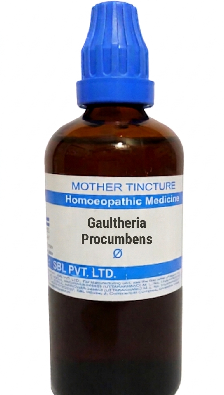SBL Gaultheria Procumbens Q 100 ml for joint pain and nerve support