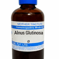 SBL Alnus Glutinosa Q 100 ml for respiratory and allergy relief