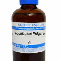 SBL Foeniculum Vulgare Q 100 ml for digestion and lactation support