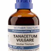 SBL Tanacetum Vulgare Q 100 ml for mental clarity and headache relief