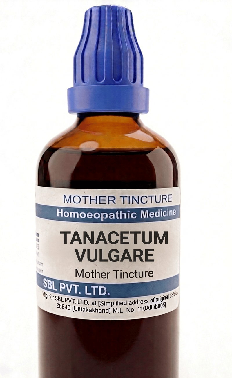 SBL Tanacetum Vulgare Q 100 ml for mental clarity and headache relief