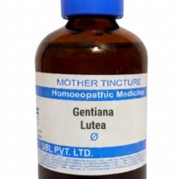 SBL Gentiana Lutea Q 100 ml for appetite and digestive support