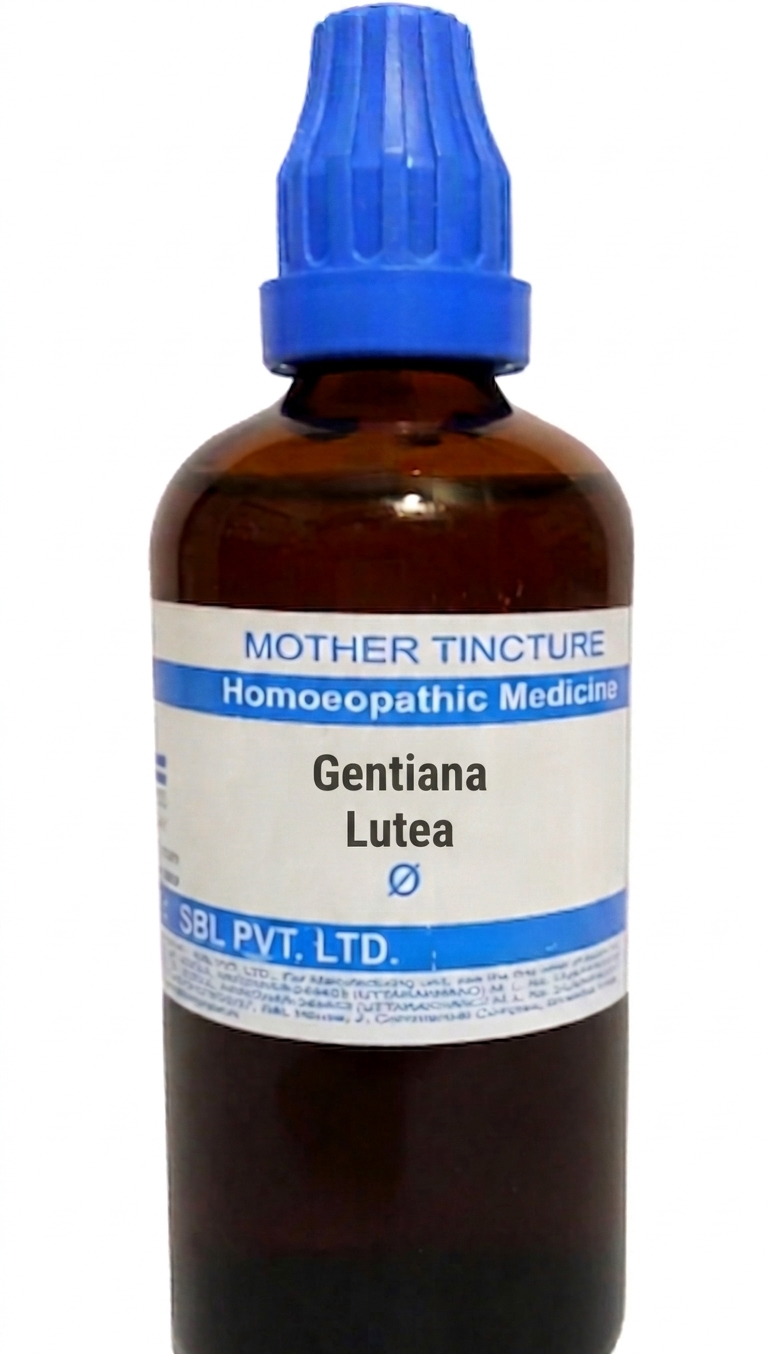 SBL Gentiana Lutea Q 100 ml for appetite and digestive support