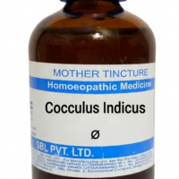 SBL Cocculus Indicus Q 100 ml for vertigo and motion sickness support